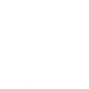 Fire Shield